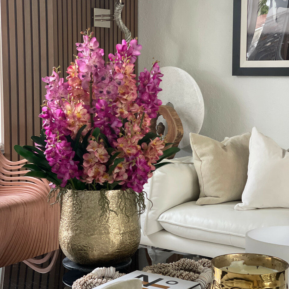 Große Delaney Schale mit gemischten Mokara-Orchideen