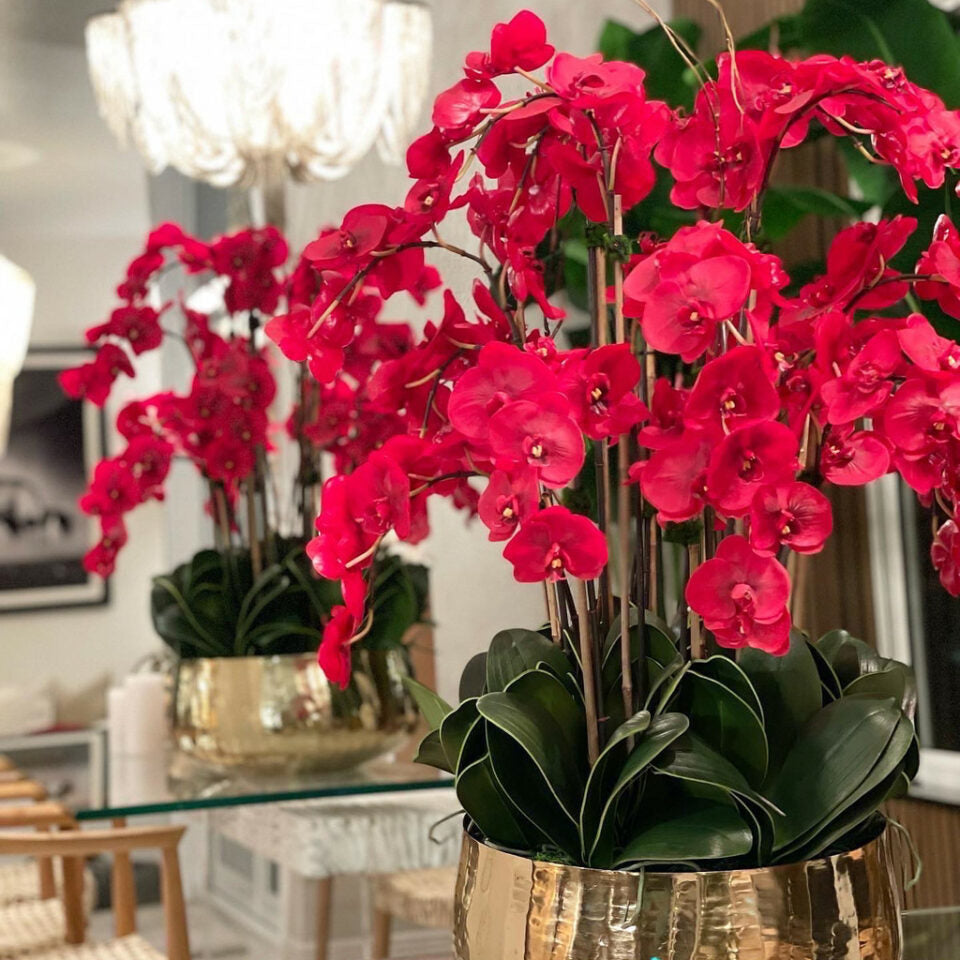 Rote Phalaenopsis-Orchideen im mittleren goldfarbenen Topf
