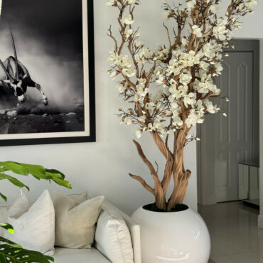 Weiße Magnolienbaum in glänzend weißem Globus-Topf, 76 cm