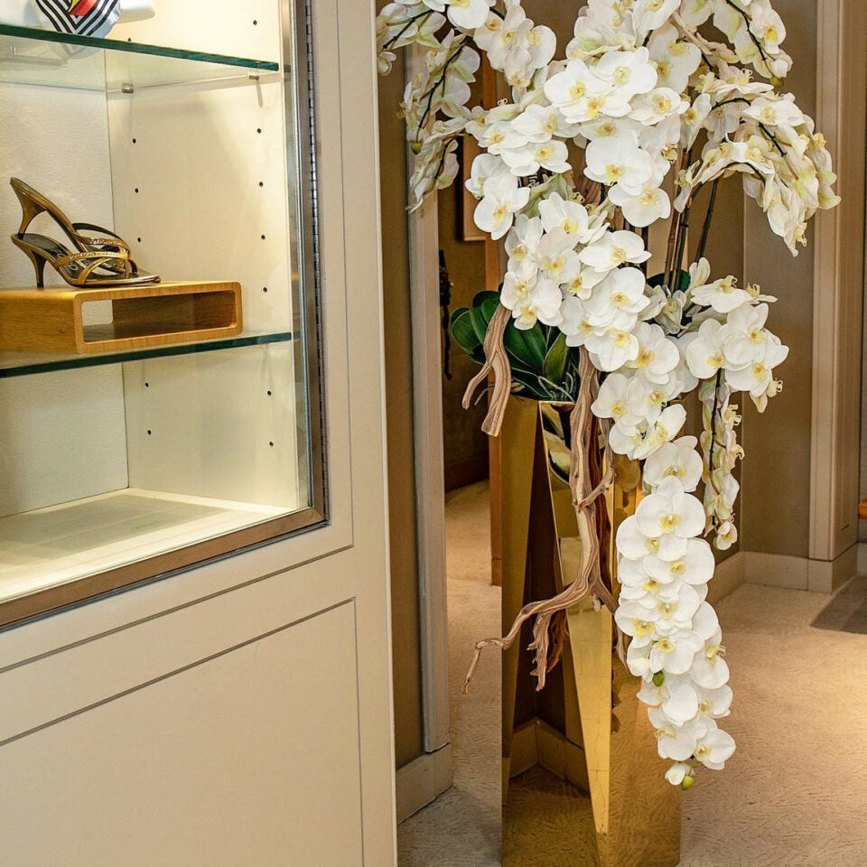 Phalaenopsis-Orchideen, die in einem goldenen Prisma-Pflanzgefäß herabfallen