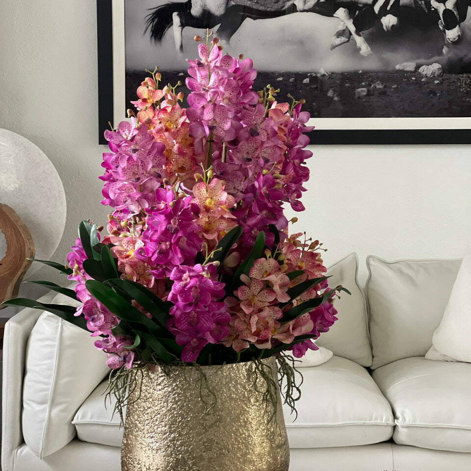 Große Delaney Schale mit gemischten Mokara-Orchideen