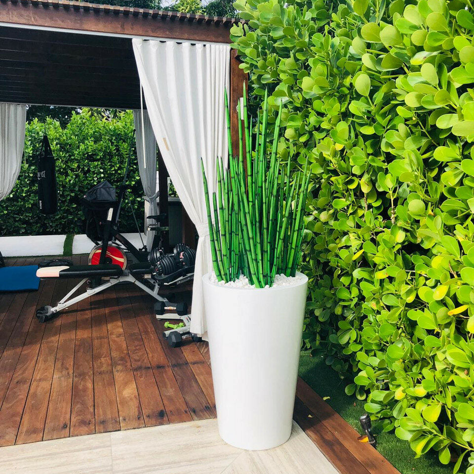 Schlangen-Gras (1,63 m) mit Belle L Pflanzgefäß