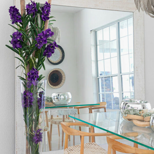 Lila Vanda-Orchideen und Treibholz im konischen Glaszylinder