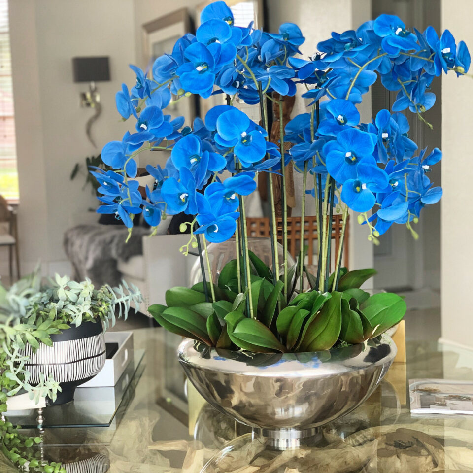 Avenue Schale mit blauen Phalaenopsis-Orchideen