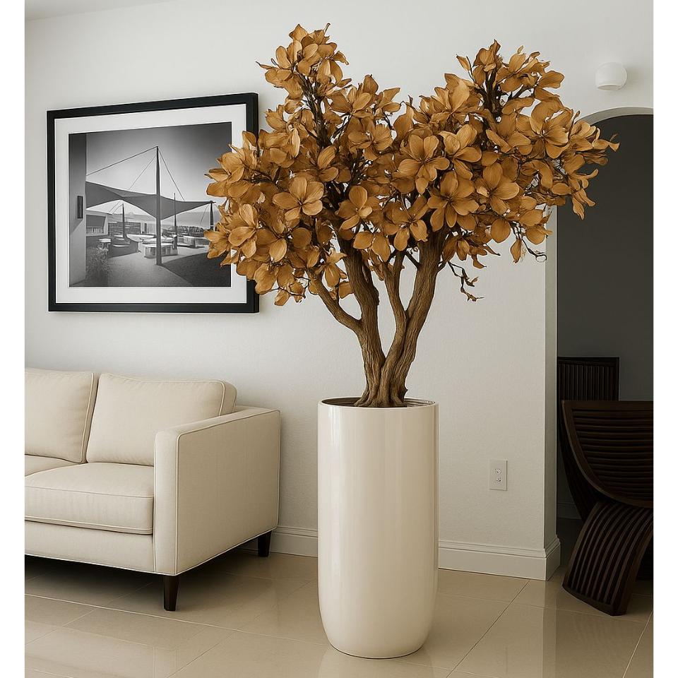 Magnolienbaum in Beige im St. Tropez glänzend weißen Topf – Neuerscheinung