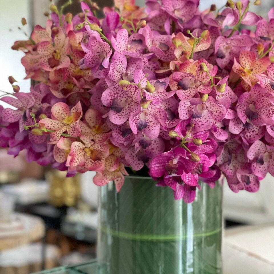 Gemischte Mokara-Orchideen im großen Rota-Zylinder