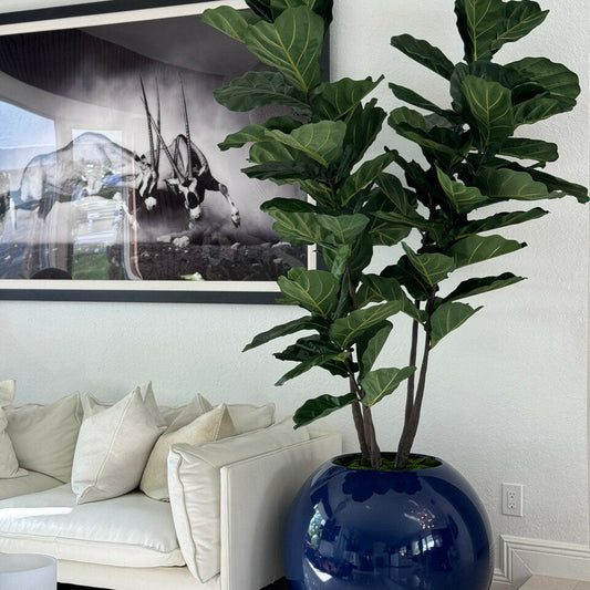 30″ Blaue Globusvase mit Geigen-Feige