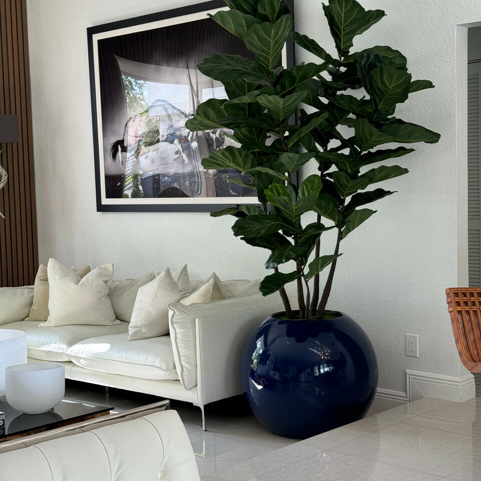 30″ Blaue Globusvase mit Geigen-Feige