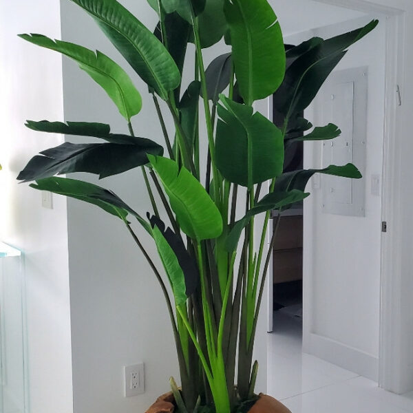 Große Vase aus Teakholz mit prachtvoller Strelitzie (Paradiesvogelblume)