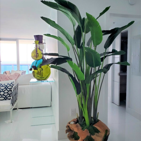 Große Vase aus Teakholz mit prachtvoller Strelitzie (Paradiesvogelblume)
