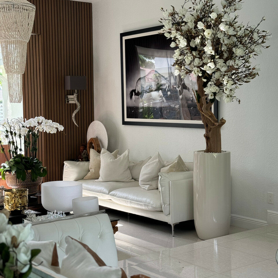 Weißer Magnolienbaum im glänzenden St. Tropez-Topf in Beige
