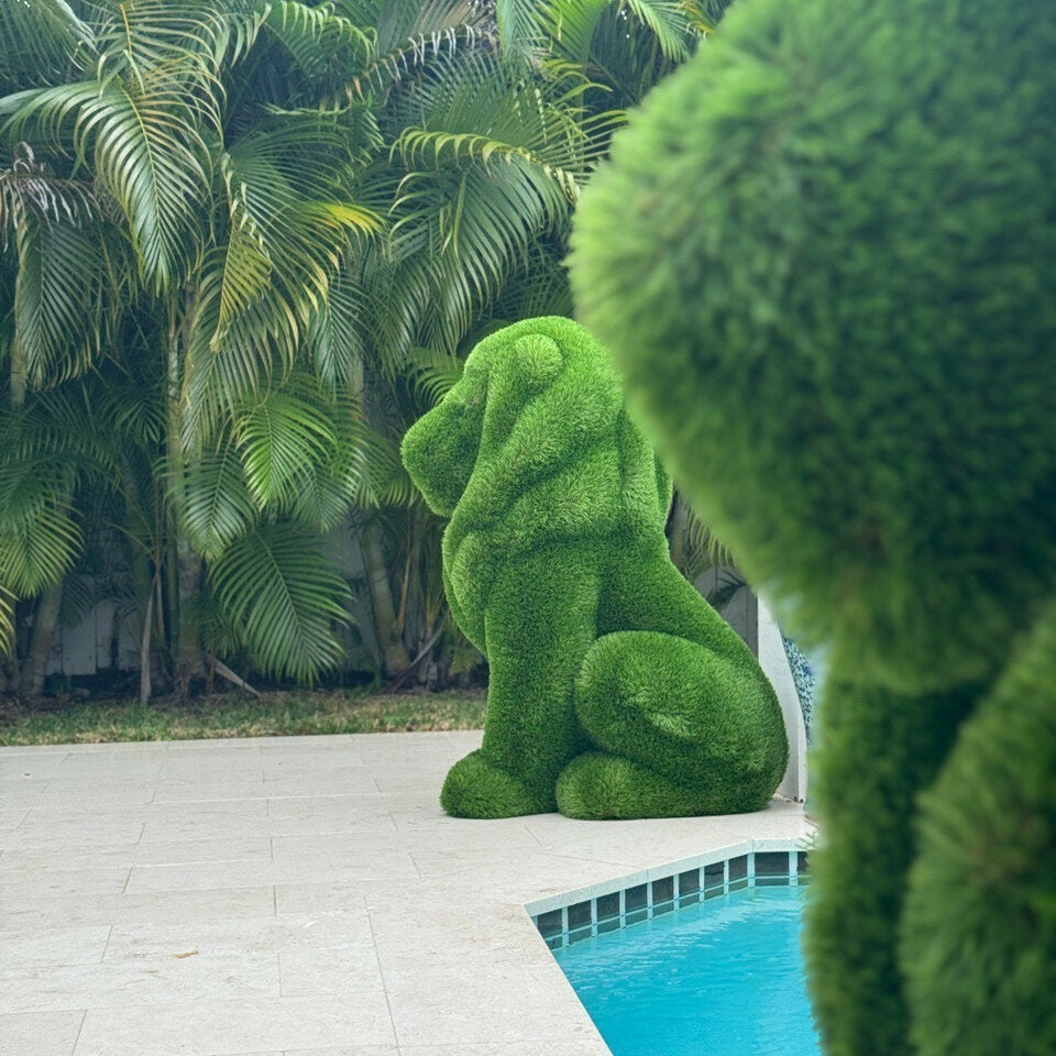 Sitzender Löwen-Topiary