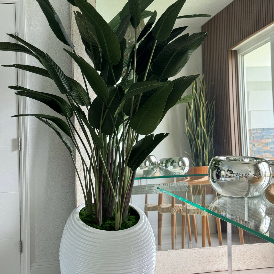 Paradiesvogelpflanze in weißer Spiralvase