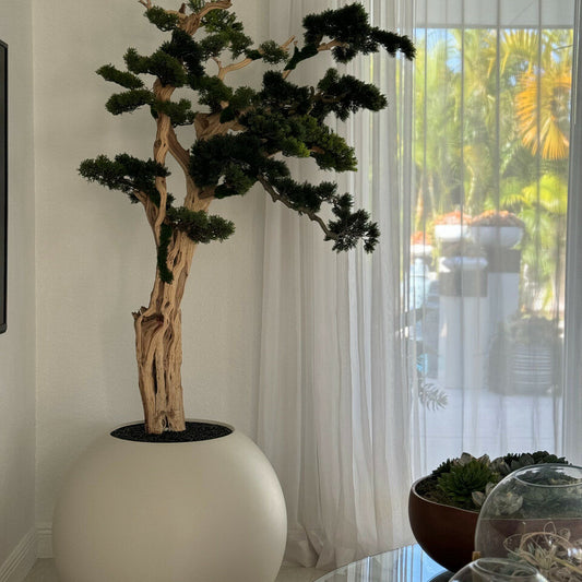 Bonsai-Baum in globusförmigem Pflanzgefäß – 180 cm, Satin-Beige