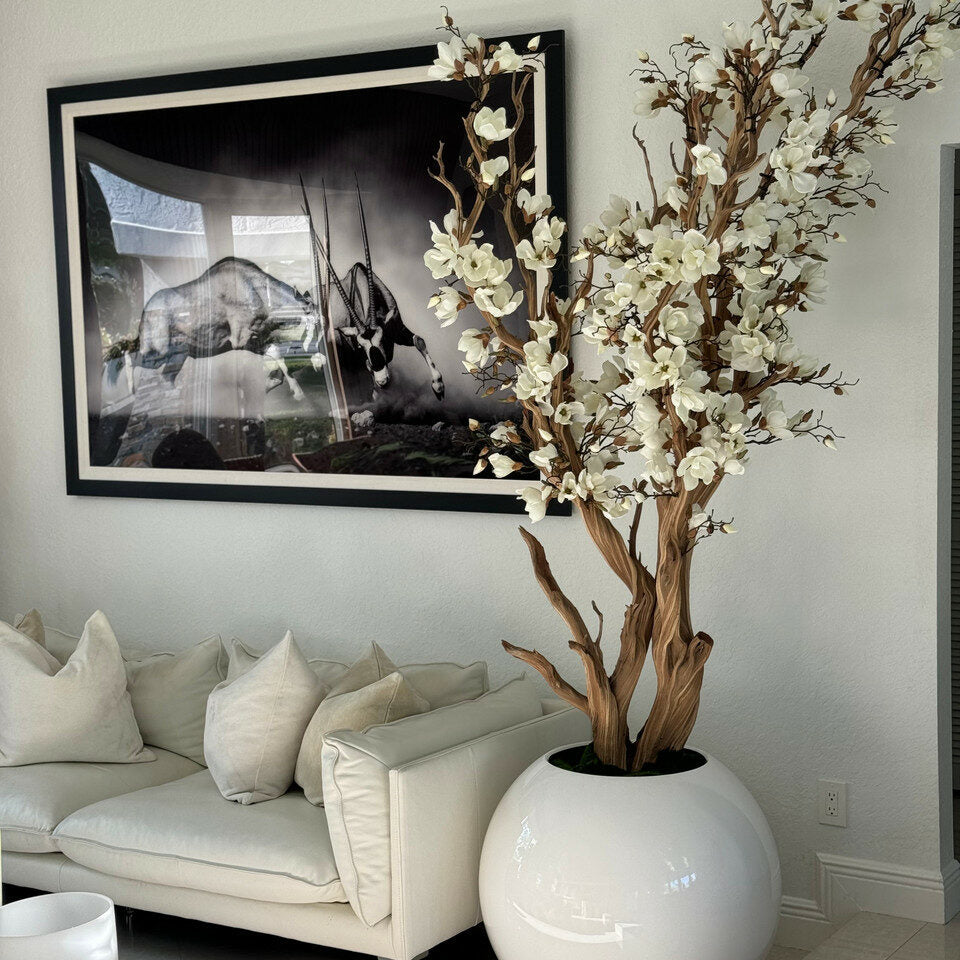 Weißer Magnolienbaum im 126 cm glänzenden weißen Globus-Topf