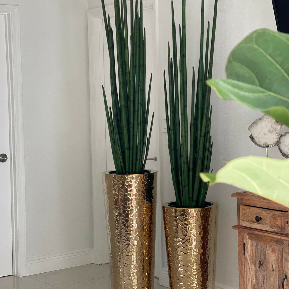 Konische Vase aus goldfarbenem Edelstahl mit großem Schlangen-Gras